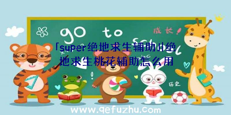 「super绝地求生辅助」|绝地求生桃花辅助怎么用